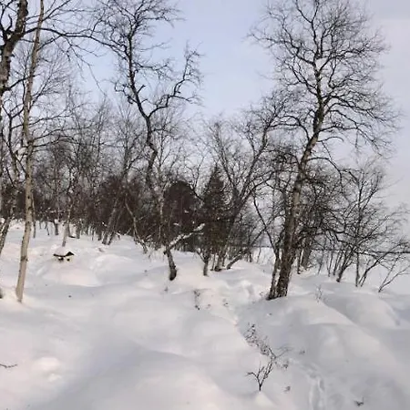 Luokta Inari